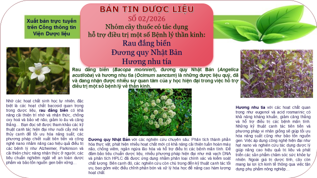 Không có ảnh